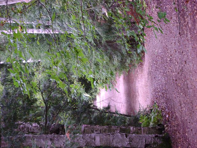 DSC00209