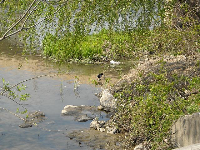 DSCN0489