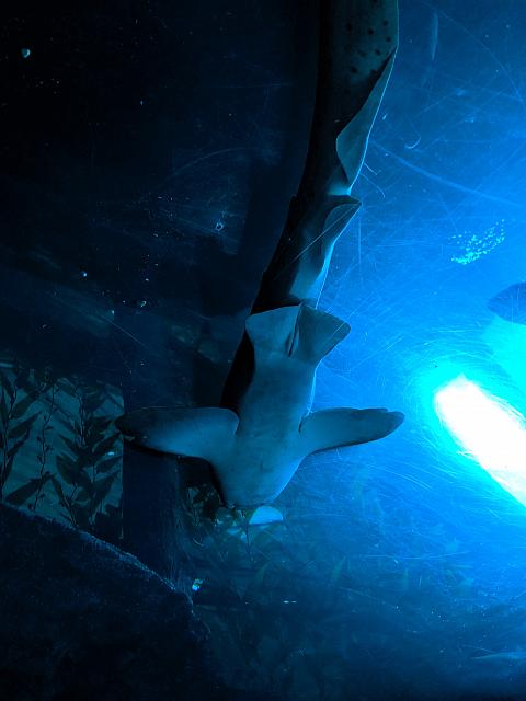 IMG 20190810 203726