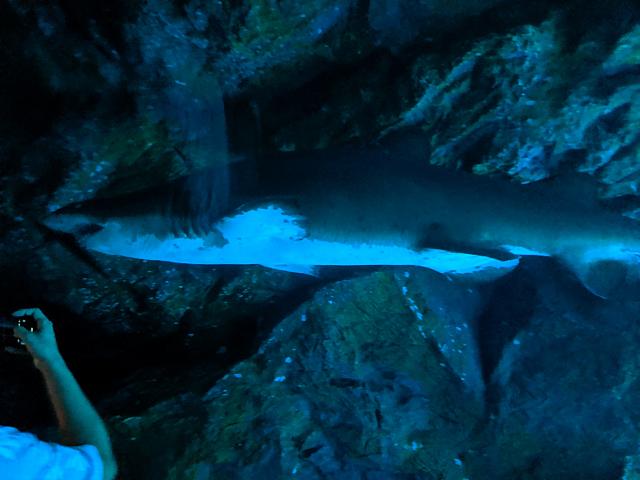 IMG 20190810 203817
