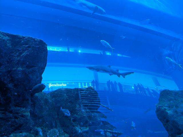 IMG 20190810 203938