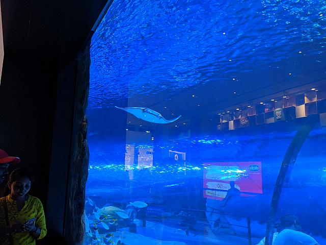 IMG 20190810 204816