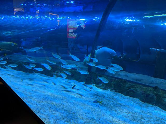IMG 20190810 204828 1