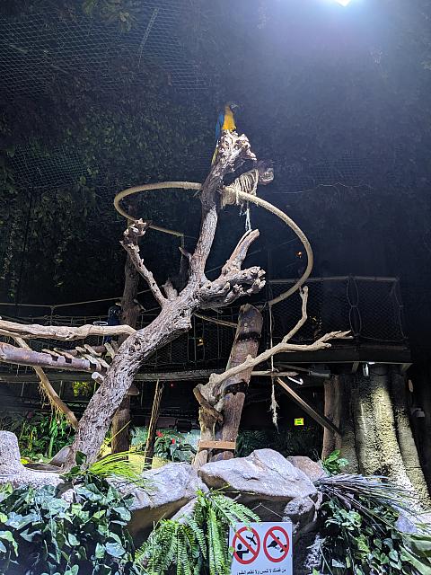 IMG 20190810 211058