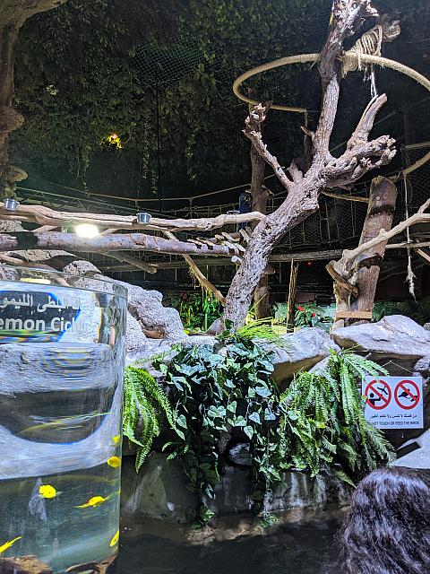 IMG 20190810 211105