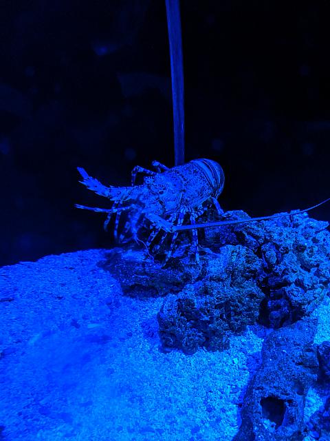 IMG 20190810 212514