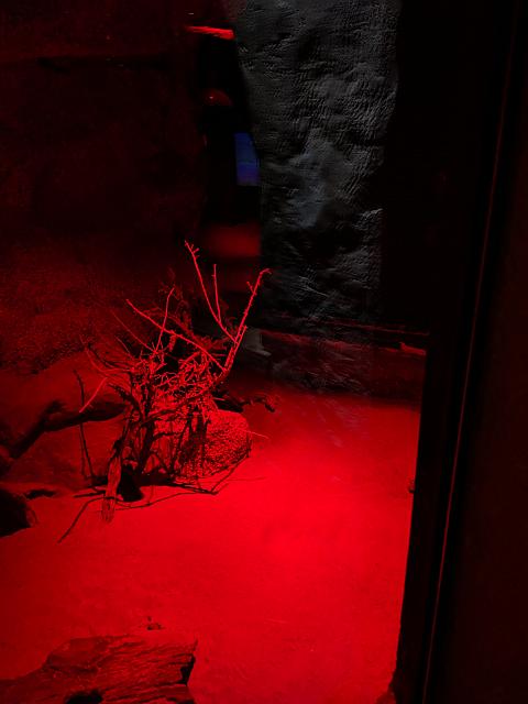 IMG 20190810 213009