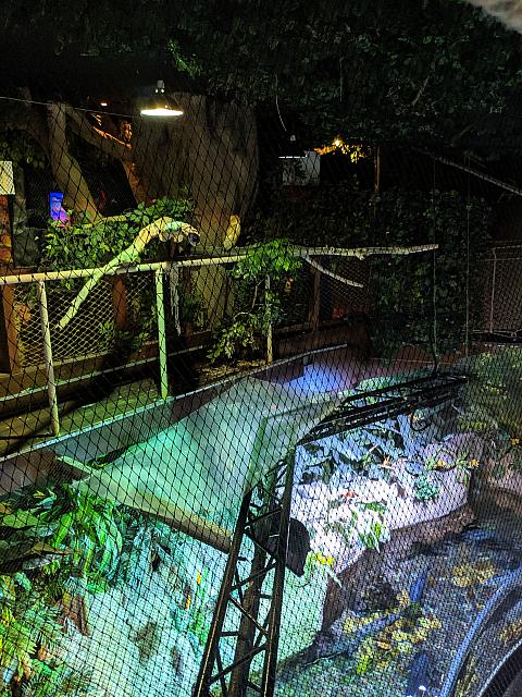 IMG 20190810 213605