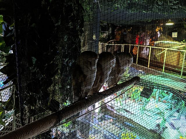 IMG 20190810 213754