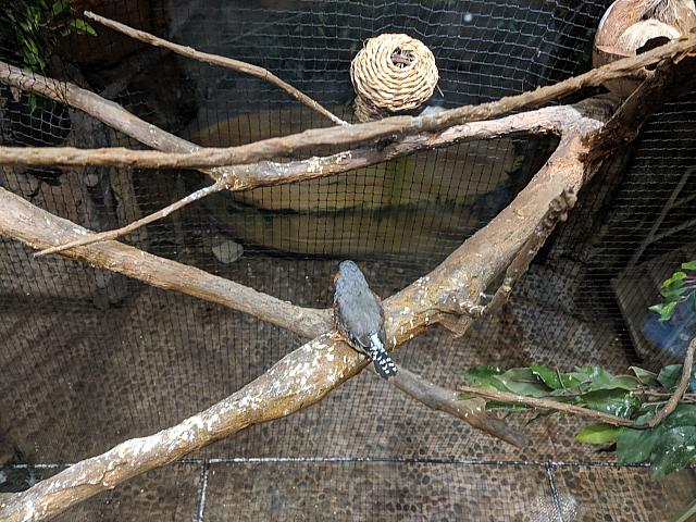 IMG 20190810 214208