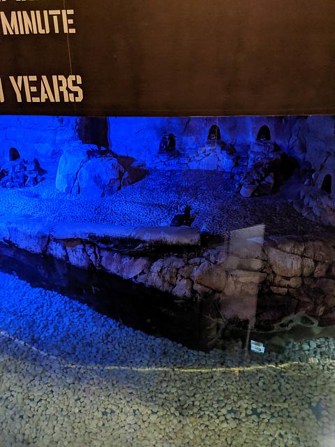IMG 20190810 214246