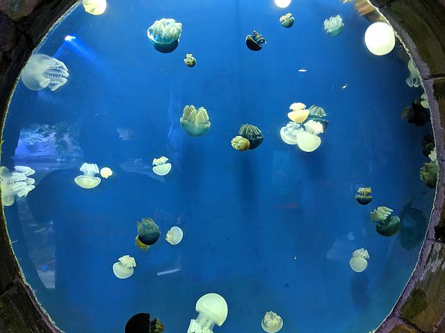 IMG 20190810 214557