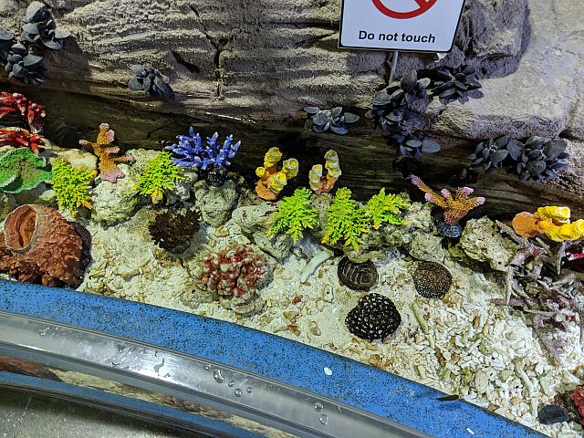 IMG 20190810 214634