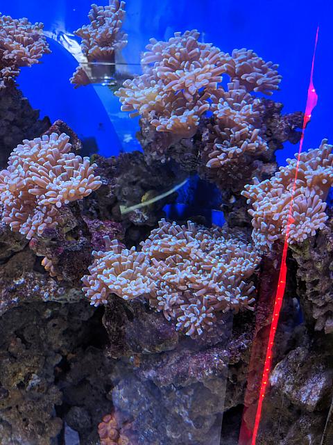 IMG 20190810 214733