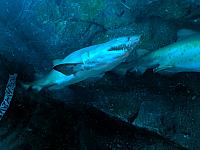 IMG 20190810 203755