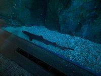 IMG 20190810 203827
