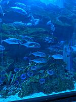 IMG 20190810 203928