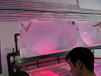 IMG 20190810 205539