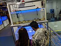 IMG 20190810 205559