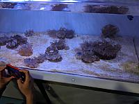 IMG 20190810 210507