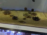 IMG 20190810 210510