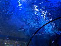 IMG 20190810 210830