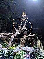 IMG 20190810 211058