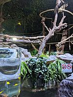 IMG 20190810 211105