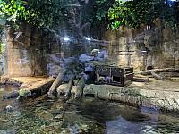 IMG 20190810 211118