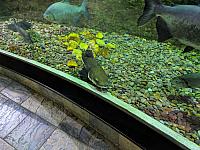 IMG 20190810 211525