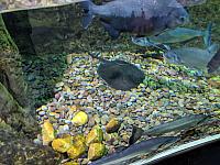 IMG 20190810 211601
