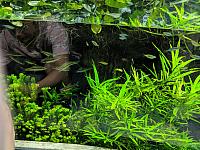 IMG 20190810 211714