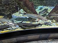 IMG 20190810 211804