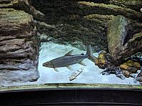 IMG 20190810 211907