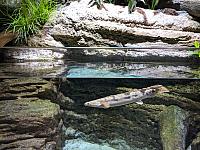 IMG 20190810 211909