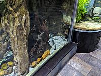 IMG 20190810 211913