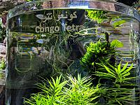 IMG 20190810 211954