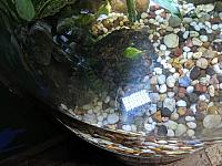 IMG 20190810 212114
