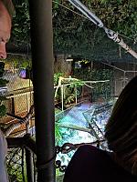 IMG 20190810 213524