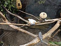IMG 20190810 214210